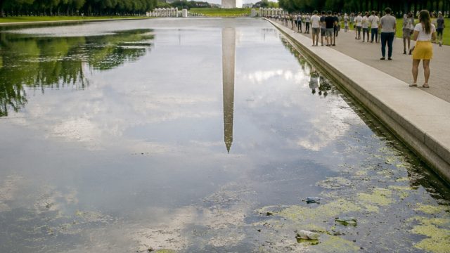 Reflecting Pool Controversy: Unpacking Trump's Claims of Vandalism | mega moolah, slot