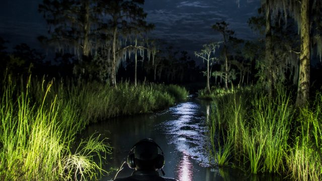 Exploring the Thrills of Wetlands: A Night with Swamp Patrol | online casino slots real money, jagom