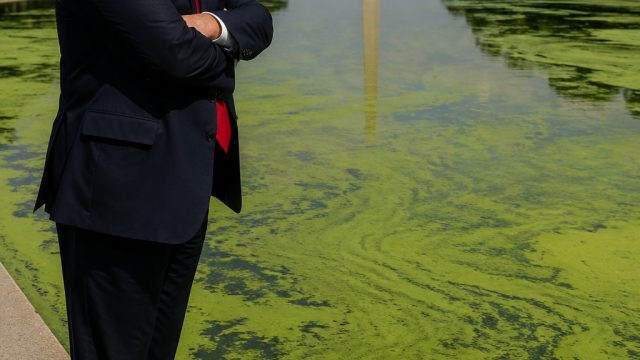 Trump's Algae Controversy: New Insights on the Reflecting Pool Debacle | macau dewa slot, toto indo 